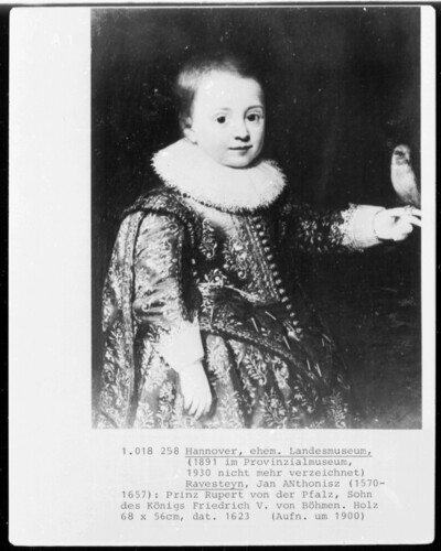 Prince Ruprecht von der Pfalz (1618-1682), holding a parrot