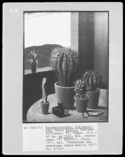 Cactus style life
