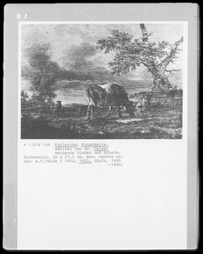 Grazing cattle and sheep