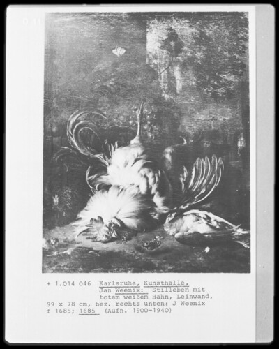 Still Life with Dead White Rooster