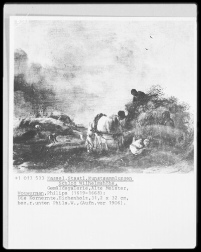 The grain harvest
