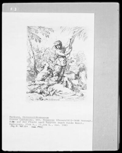 Rest fleeing to Egypt