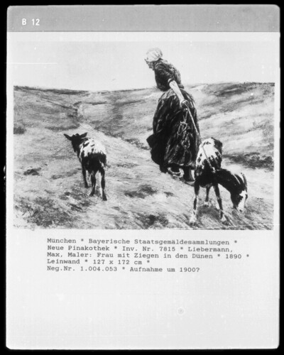 Frau mit Ziegen in den Dünen