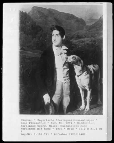 Forest garbage son Ferdinand with dog