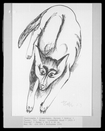 Liegender Hund