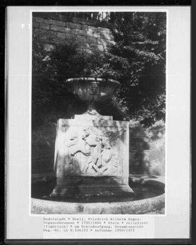 Pegasus well