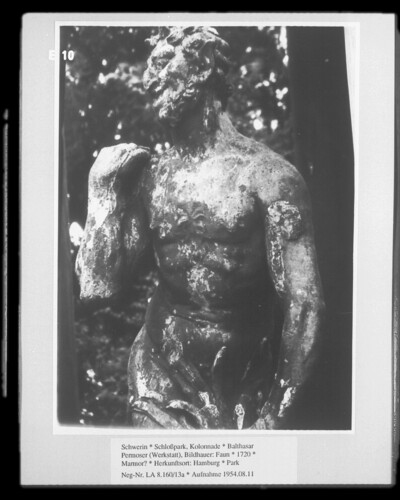 Faun