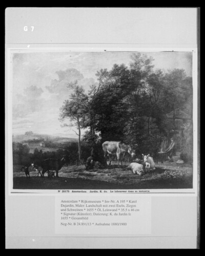 Landscape with two donkeys, goats and pigs