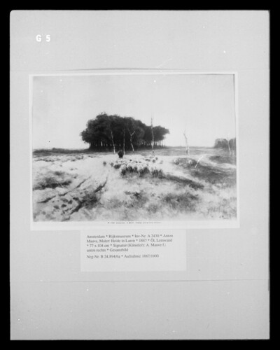 Heath in Laren