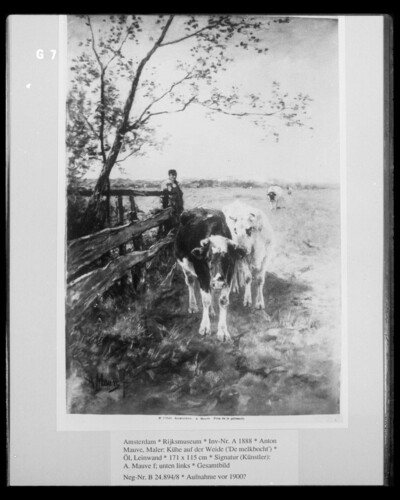 Cows on pasture (’ De melkbocht’)