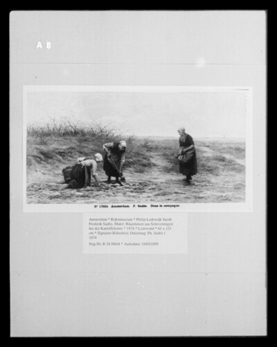 Farmers from Scheveningen harvesting potatoes