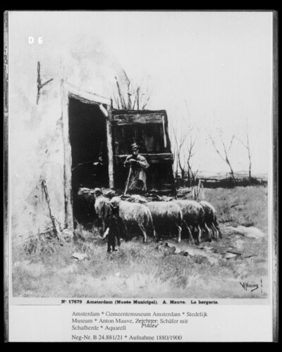 Shepherd with herd of sheep