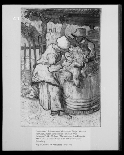 Sheep shearer