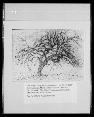 The Red Tree