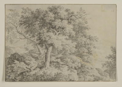 Tree group on the river bank