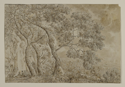 Landscape with waterfall