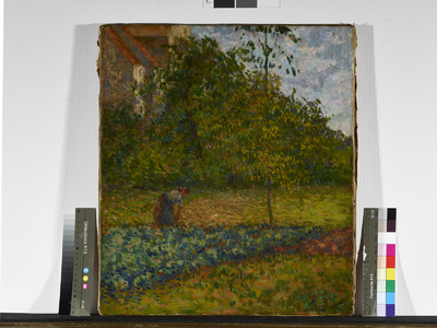 Vegetable garden in Pontoise with farmer