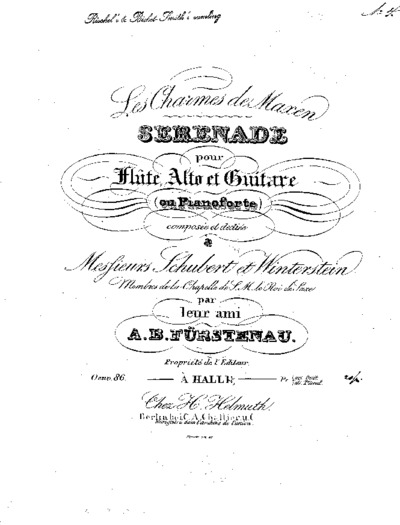 Les ¤charmes de Maxen : sérénade pour flûte, alto et guitare (ou pianoforte) : Oeuv. 86
