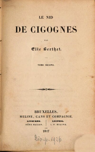 Le nid de cigognes par Élie Berthet, 2