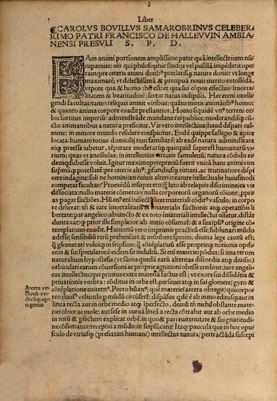 Liber de intellectu