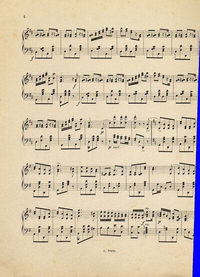 Am St. Wolfgangsee : Polka : Op. 83