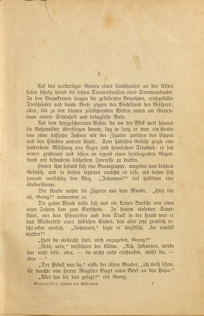 Durch Urwald und Wüstensand