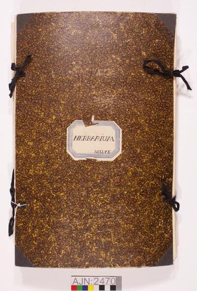 europeana