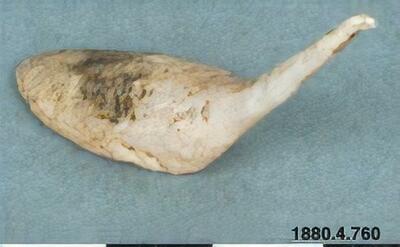 europeana