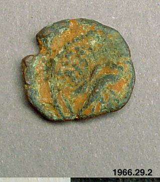 mynt, coin