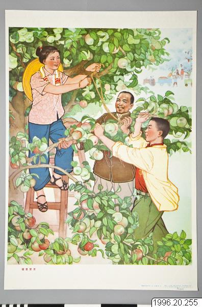 affisch, poster