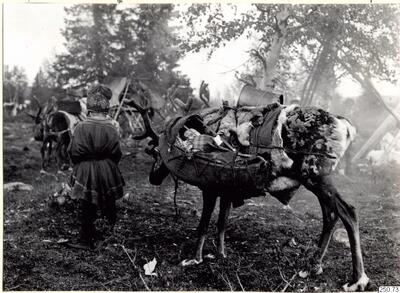 europeana