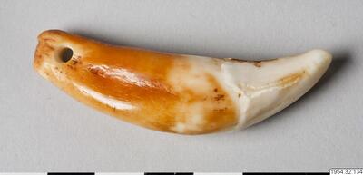 europeana