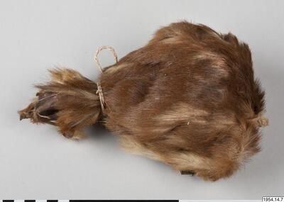 europeana