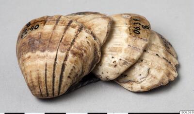 europeana