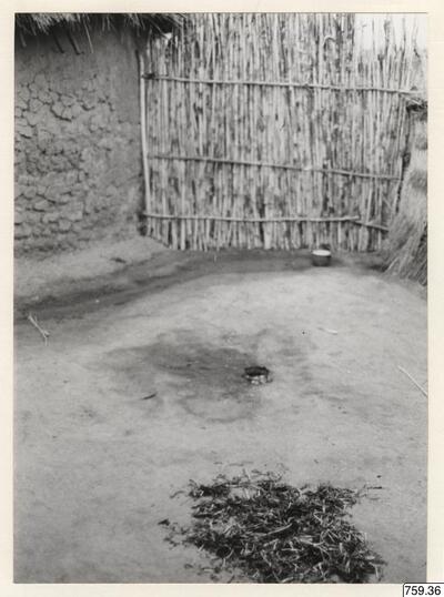 europeana