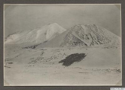 europeana
