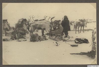 europeana