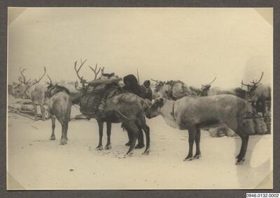 europeana