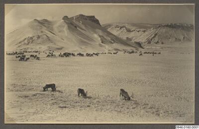 europeana