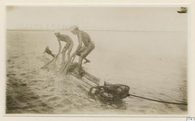 europeana