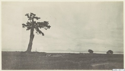 europeana