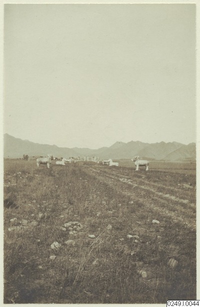 europeana