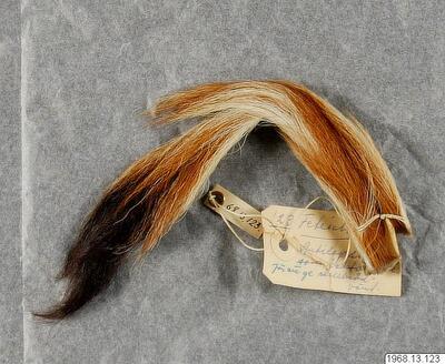europeana