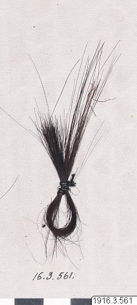 europeana