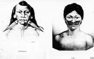 Teckning, drawing