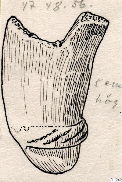 europeana