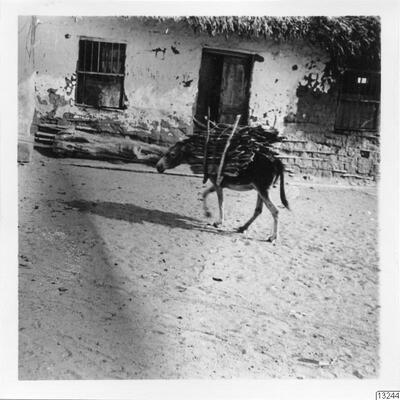 europeana