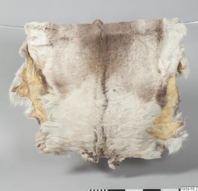europeana