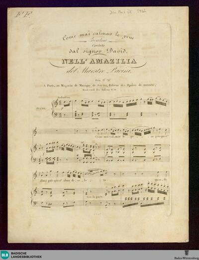 Come mai calmar le pene : Cavatina, cantata