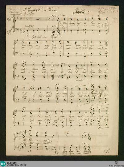 A Griaverl im Kinn - Don Mus.Ms. 2461 : Coro maschile; G